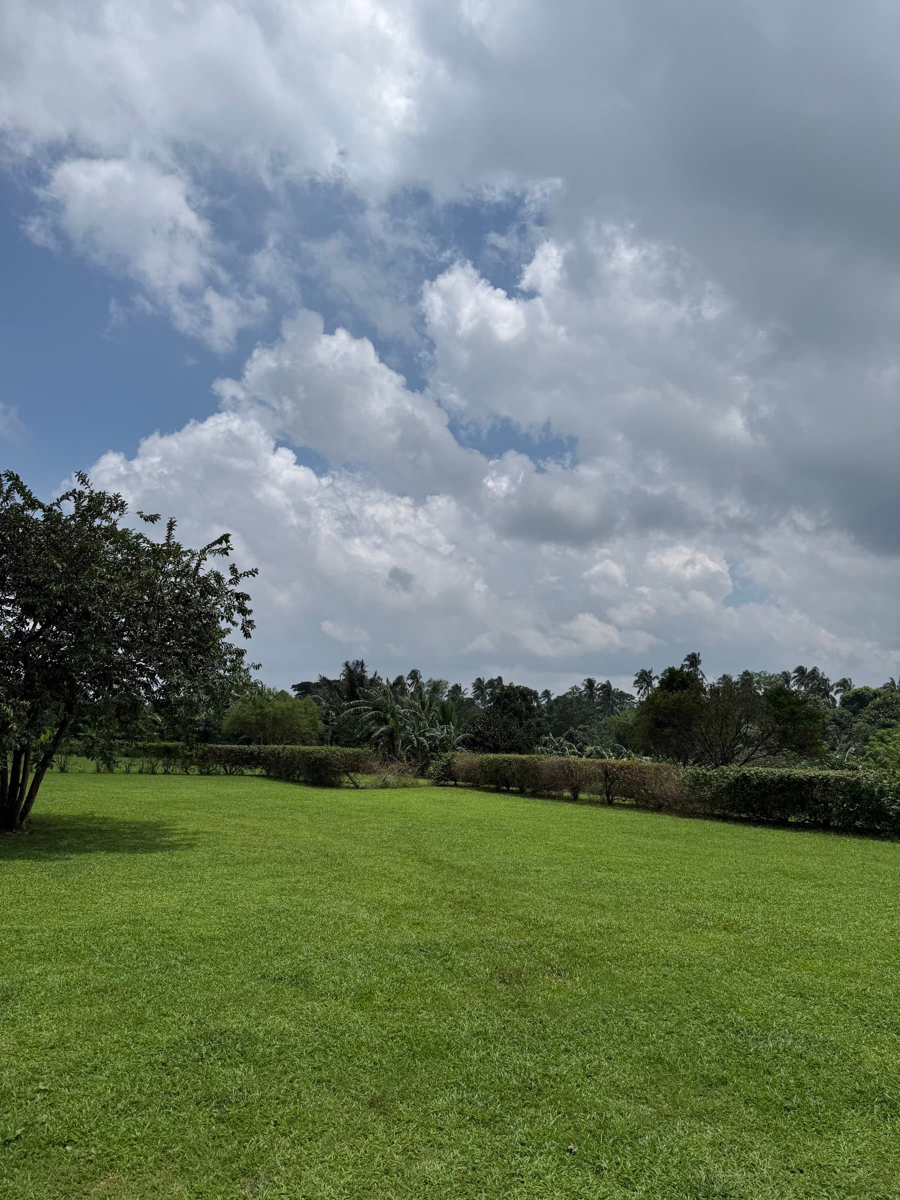 1,000 sqm Farm Lot, Alfonso, Cavite